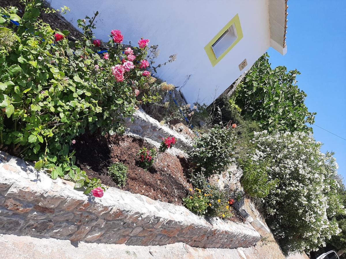 Lemon Garden 1 Villa Karidi Exterior foto